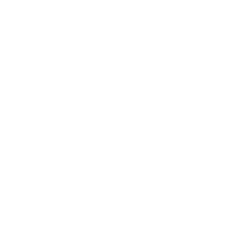 Chalet Mounier